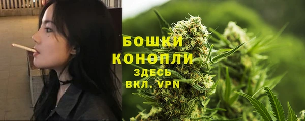 мескалин Арсеньев