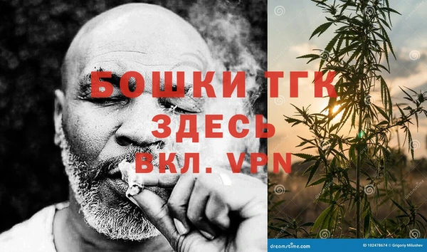 гашик Богданович
