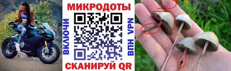 продажа наркотиков  Петровск  Галлюциногенные грибы ЛСД 