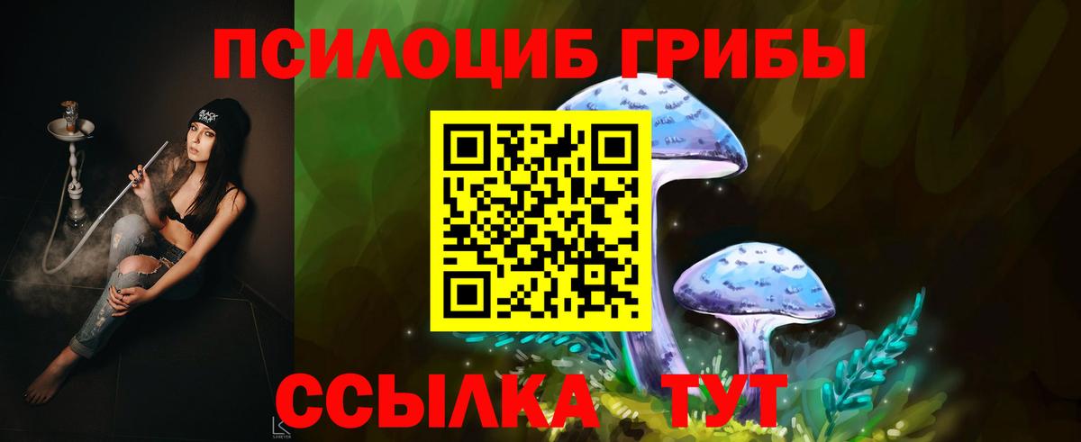 Петровск  Псилоцибиновые грибы MAGIC MUSHROOMS  как найти закладки  Вход с VPN 