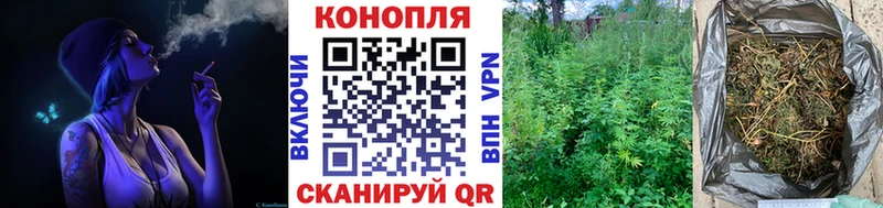 Шишки марихуана план  купить закладку  Петровск 