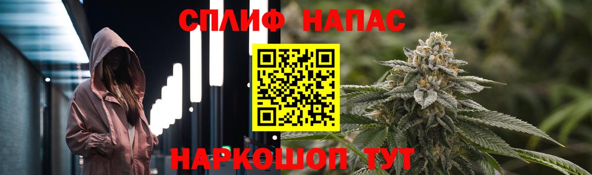Каннабис планчик Петровск